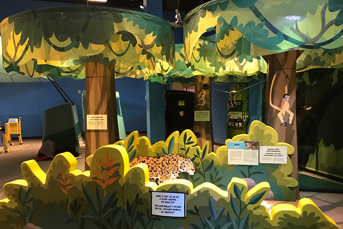 overview of the Rainforest component